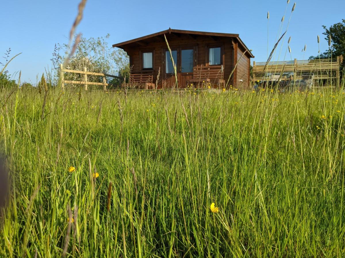 Foxhill Lodges Canterbury Luaran gambar